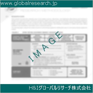 グローバルリサーチ調査資料のイメージ